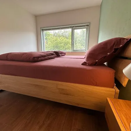Scandi House *